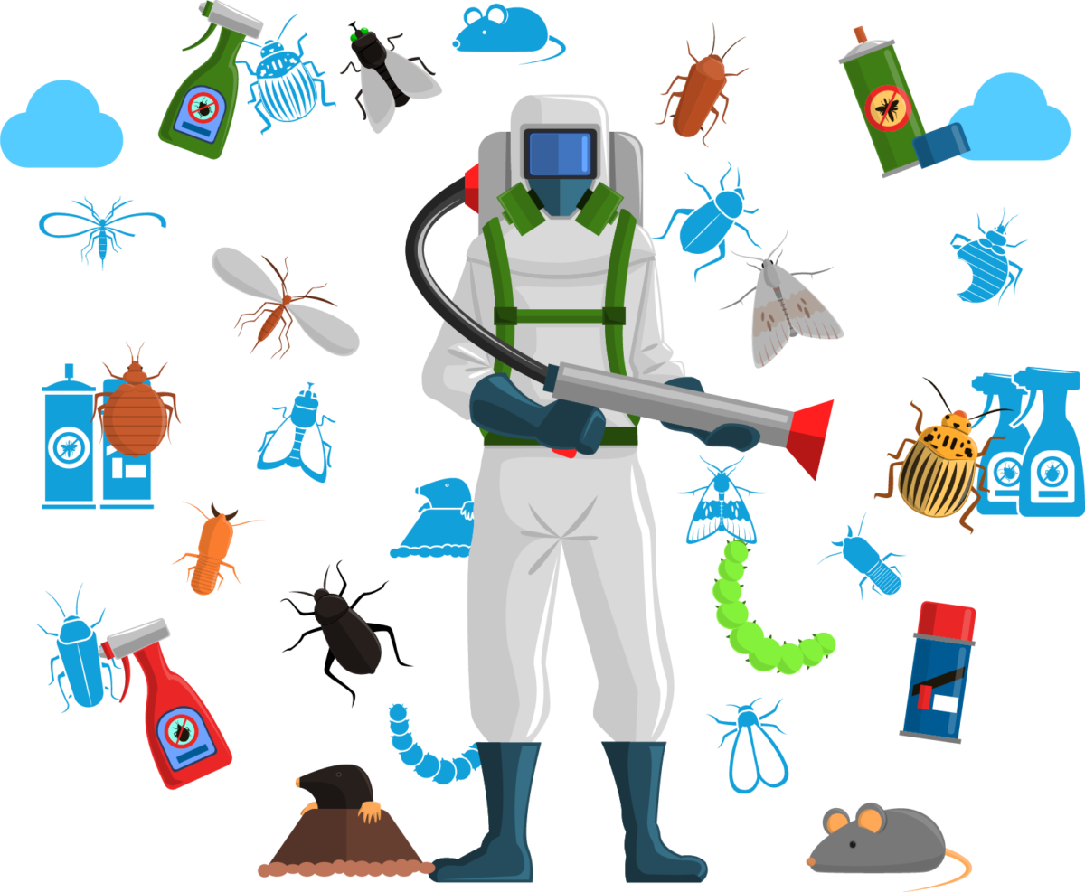 Web Design For Pest Control Companies | Kundu Web